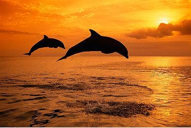 与微软谈妥了 《博德之门3》XSS版没有本地分屏