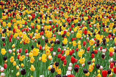 3D策略游戏《至黯之地丨神明》最新实机 众筹现已开启